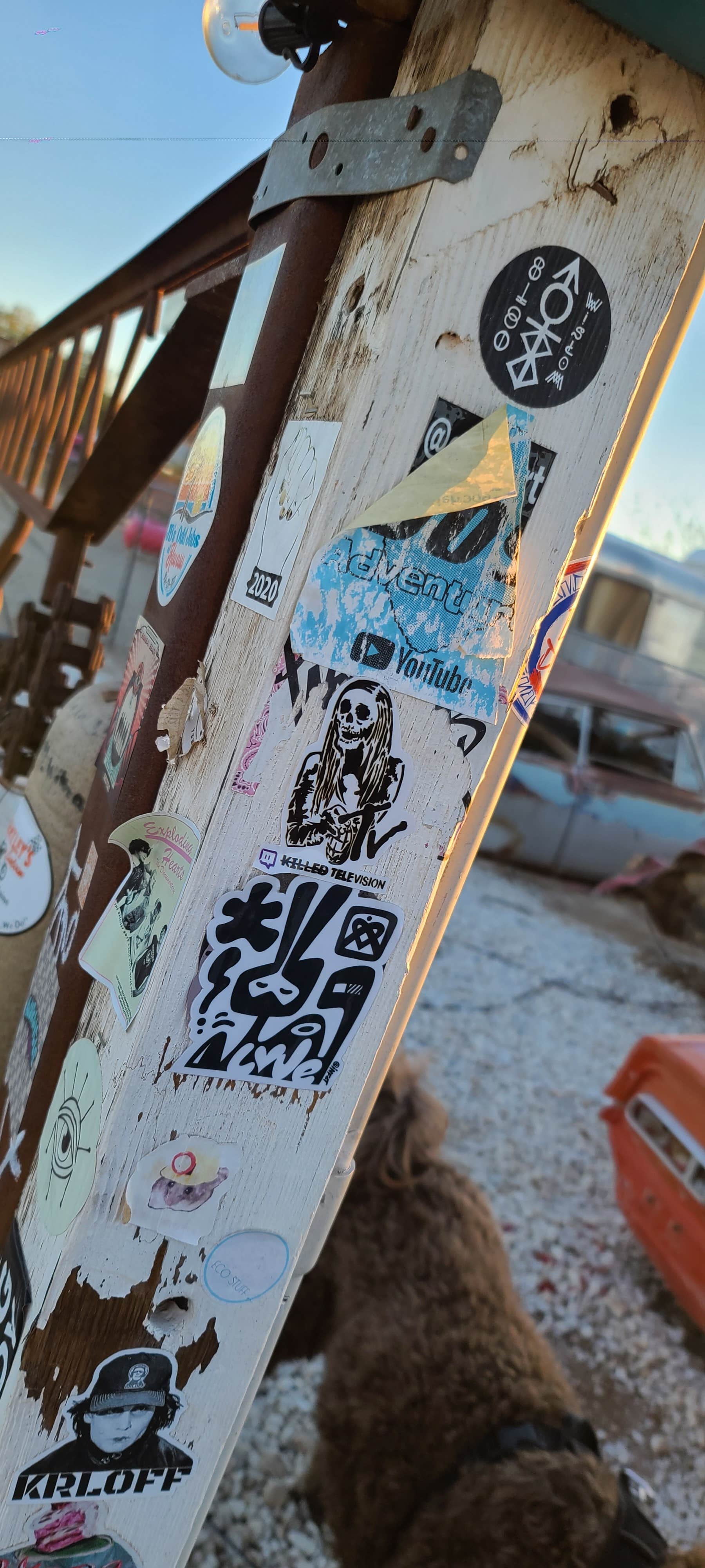 Brooke K.'s photo of camping with pets at Bombay Beach - Salton Sea State Rec Area near Imperial, CA