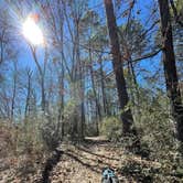 Review photo of Martin Creek Lake State Park Campground by Katie B., February 20, 2022