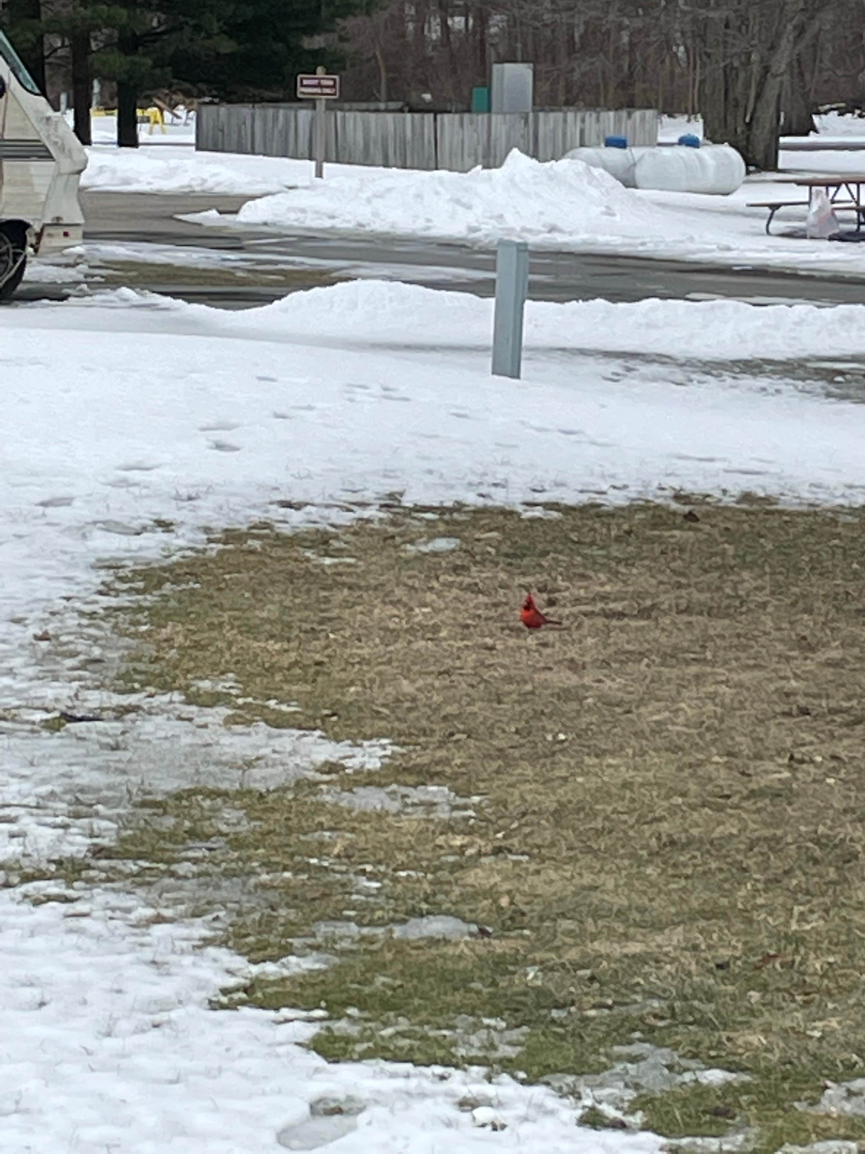 Camper-submitted photo at Waterloo Portage Lake Modern — Waterloo Recreation Area near Pleasant Lake, MI