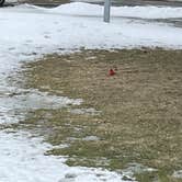 Review photo of Waterloo Portage Lake Modern — Waterloo Recreation Area by Jason T., February 16, 2022