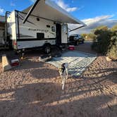 Review photo of Roosevelt Lake - Cholla Campground by Kate  S., February 20, 2022