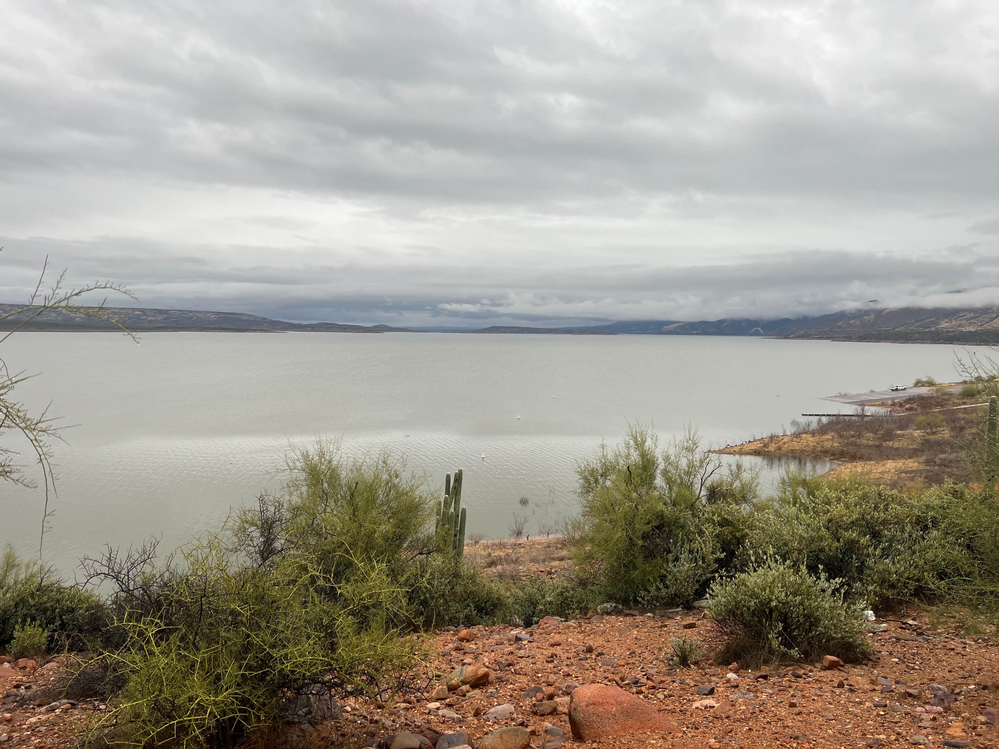 Camper submitted image from Roosevelt Lake - Cholla Campground - 3