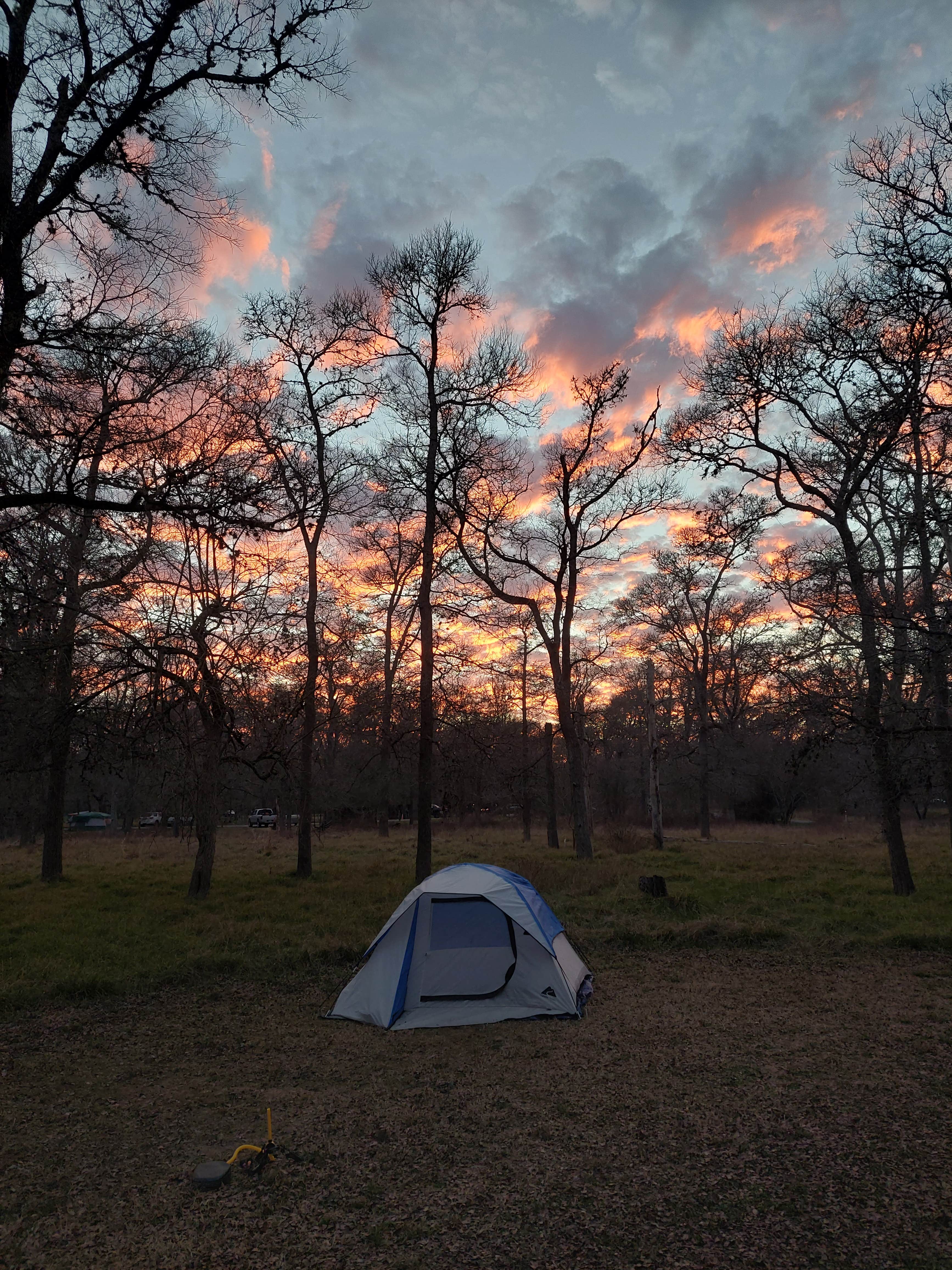 Evan V.'s photo at Stephen F. Austin State Park Campground near San Felipe, TX