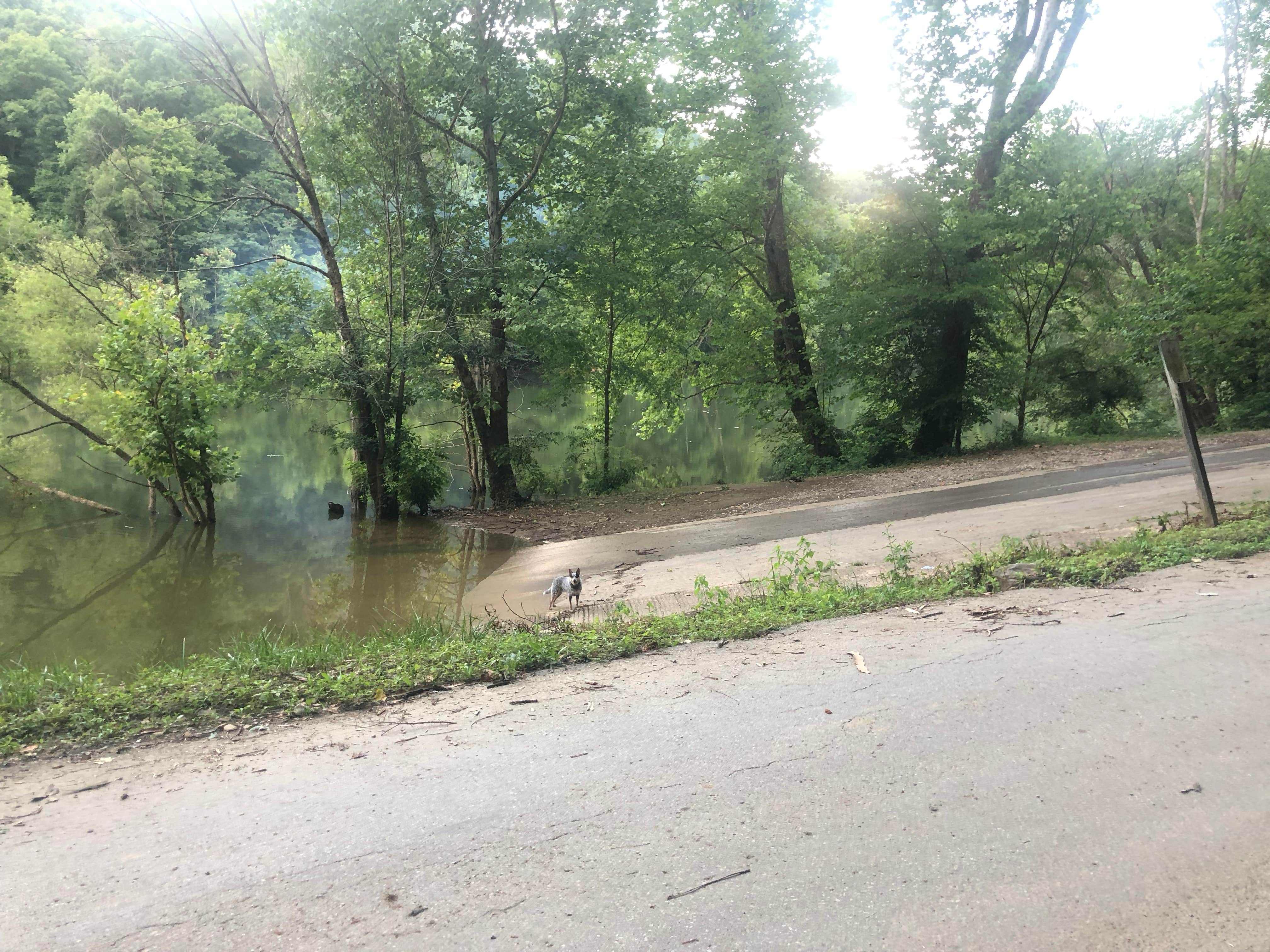 Camper submitted image from Alum Ford Campground — Big South Fork National River & Recreation Area - 4