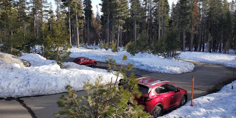 Camper submitted image from SNO Echo Lake