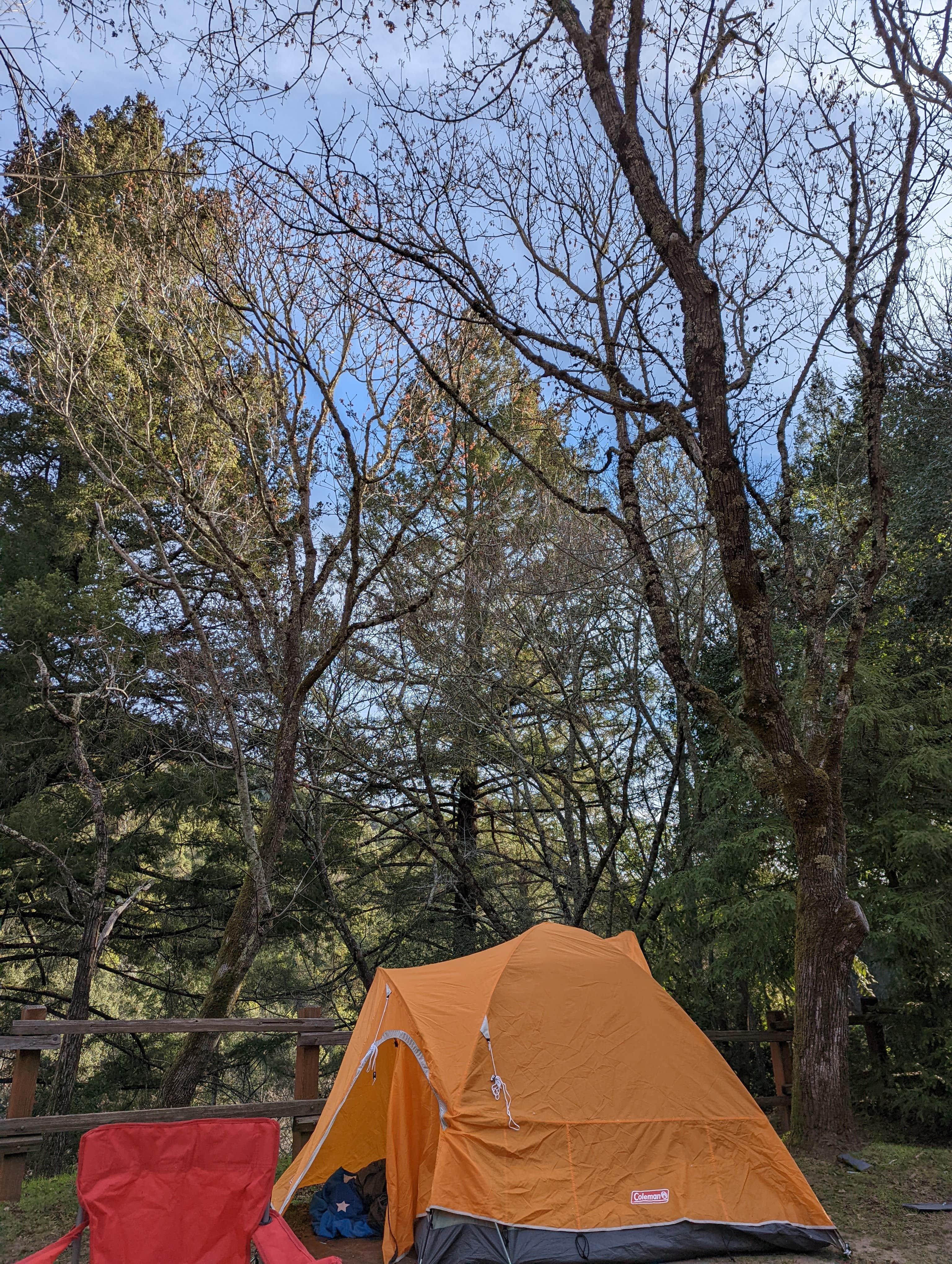 Uvas canyon 2025 park camping