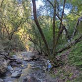 Review photo of Uvas Canyon County Park by xi C., February 21, 2022