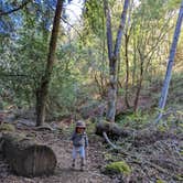 Review photo of Uvas Canyon County Park by xi C., February 21, 2022