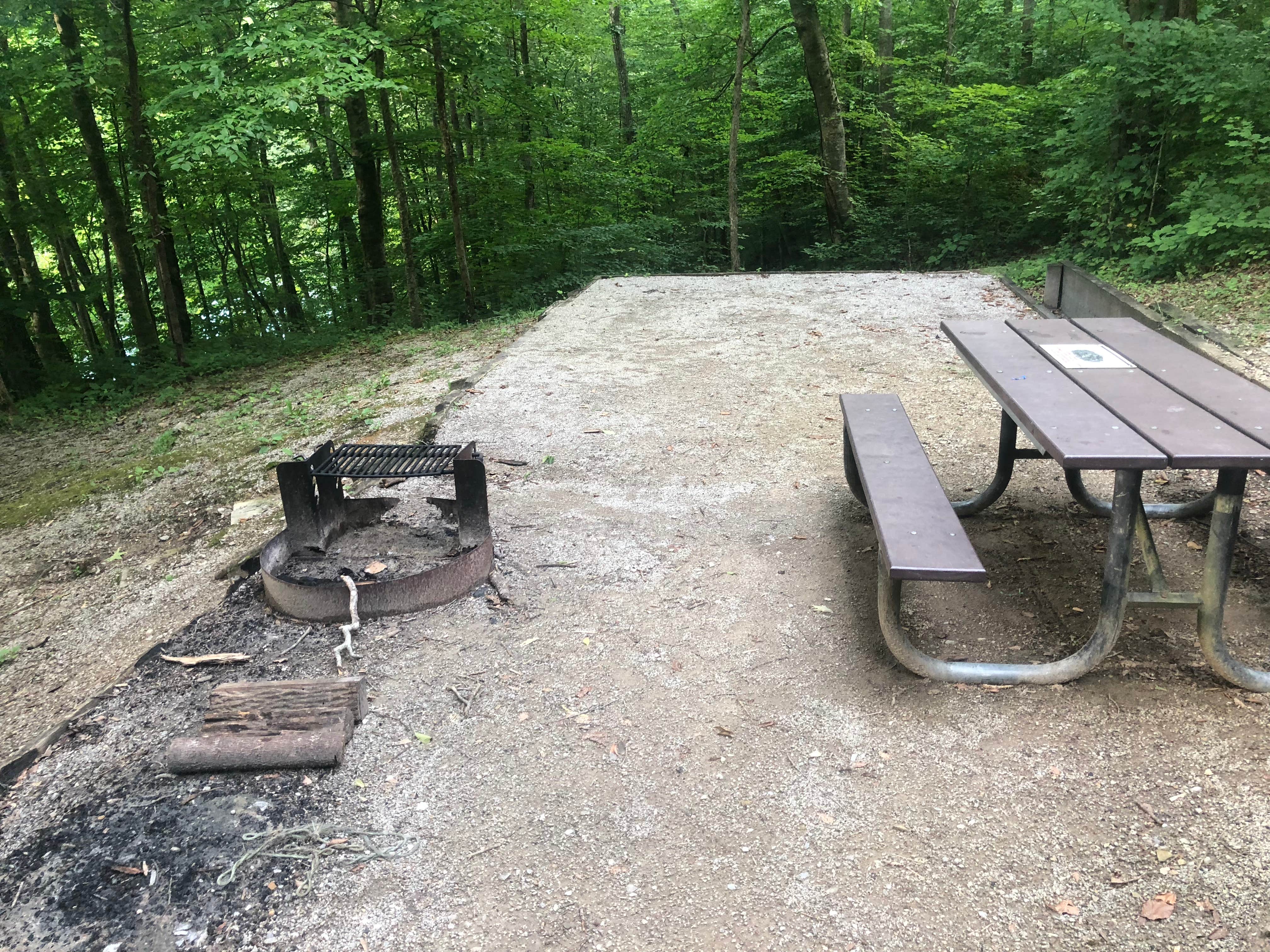 Camper submitted image from Alum Ford Campground — Big South Fork National River & Recreation Area - 5
