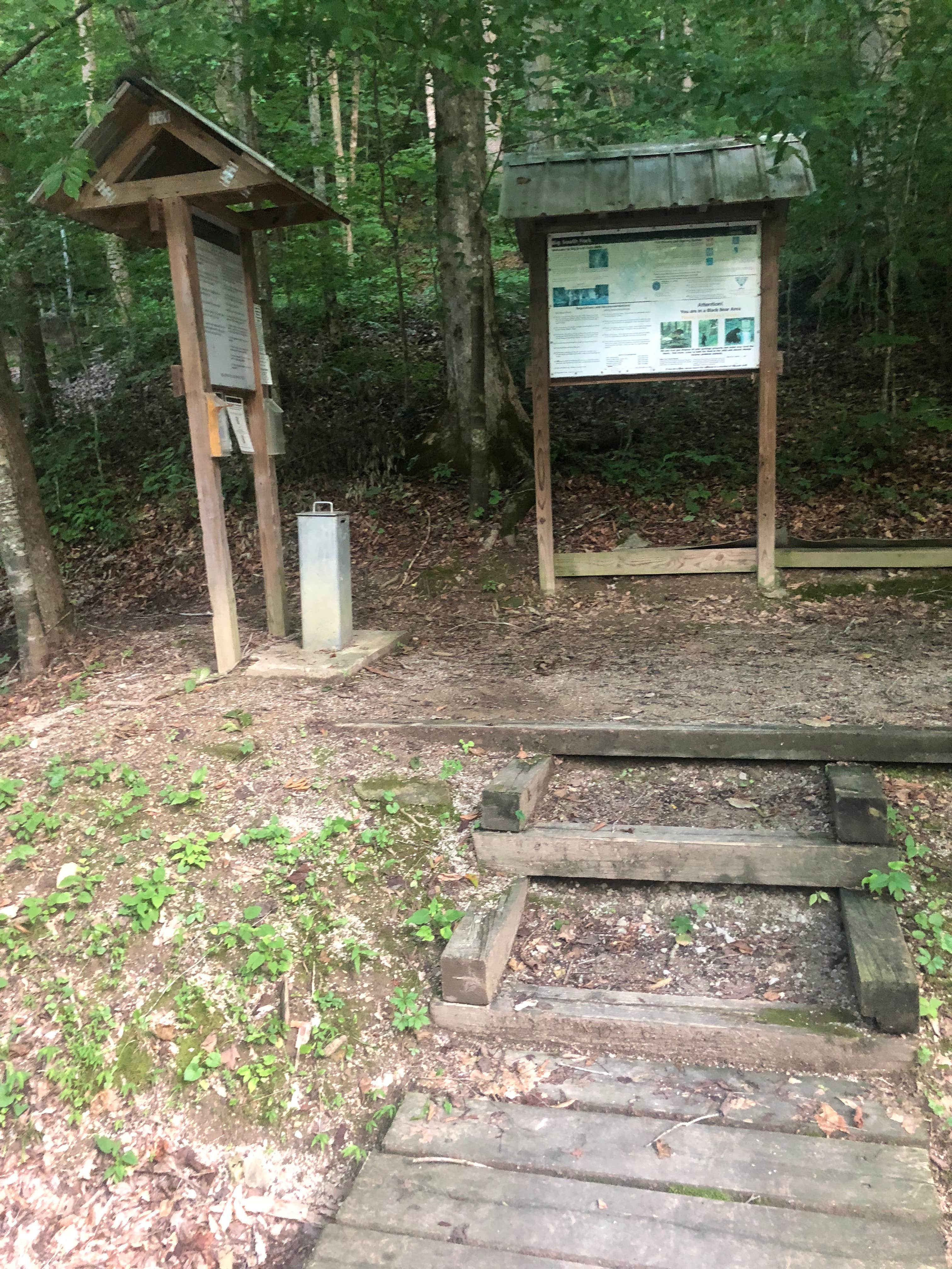 Camper submitted image from Alum Ford Campground — Big South Fork National River & Recreation Area - 3