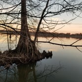 Review photo of Lake Chicot State Park Campground by Heather K., February 21, 2022