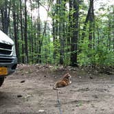 Review photo of Moreau Lake State Park Campground by nancy  K., July 10, 2018