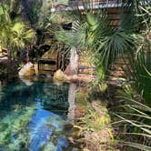 Review photo of Juniper Springs Rec Area - Tropical Camp Area by Christian D., February 21, 2022