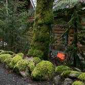 Review photo of Glacier Springs Cabin #95 - Mt. Baker Lodging by Maggie F., February 21, 2022