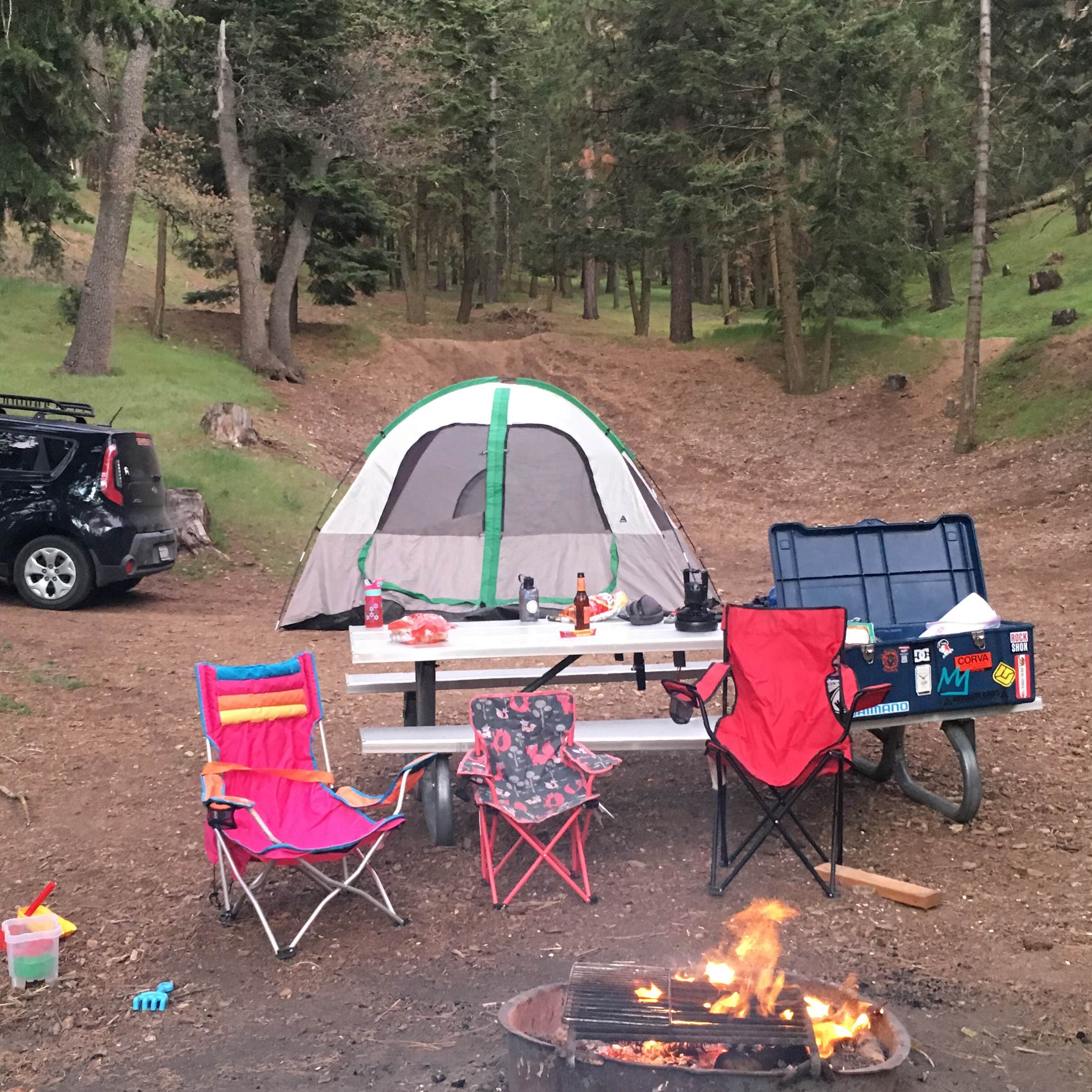 Camper-submitted photo at Tehachapi Mountain Park near Lancaster, CA