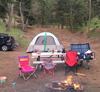 Camper-submitted photo from Mcgill Campground And Group Campground