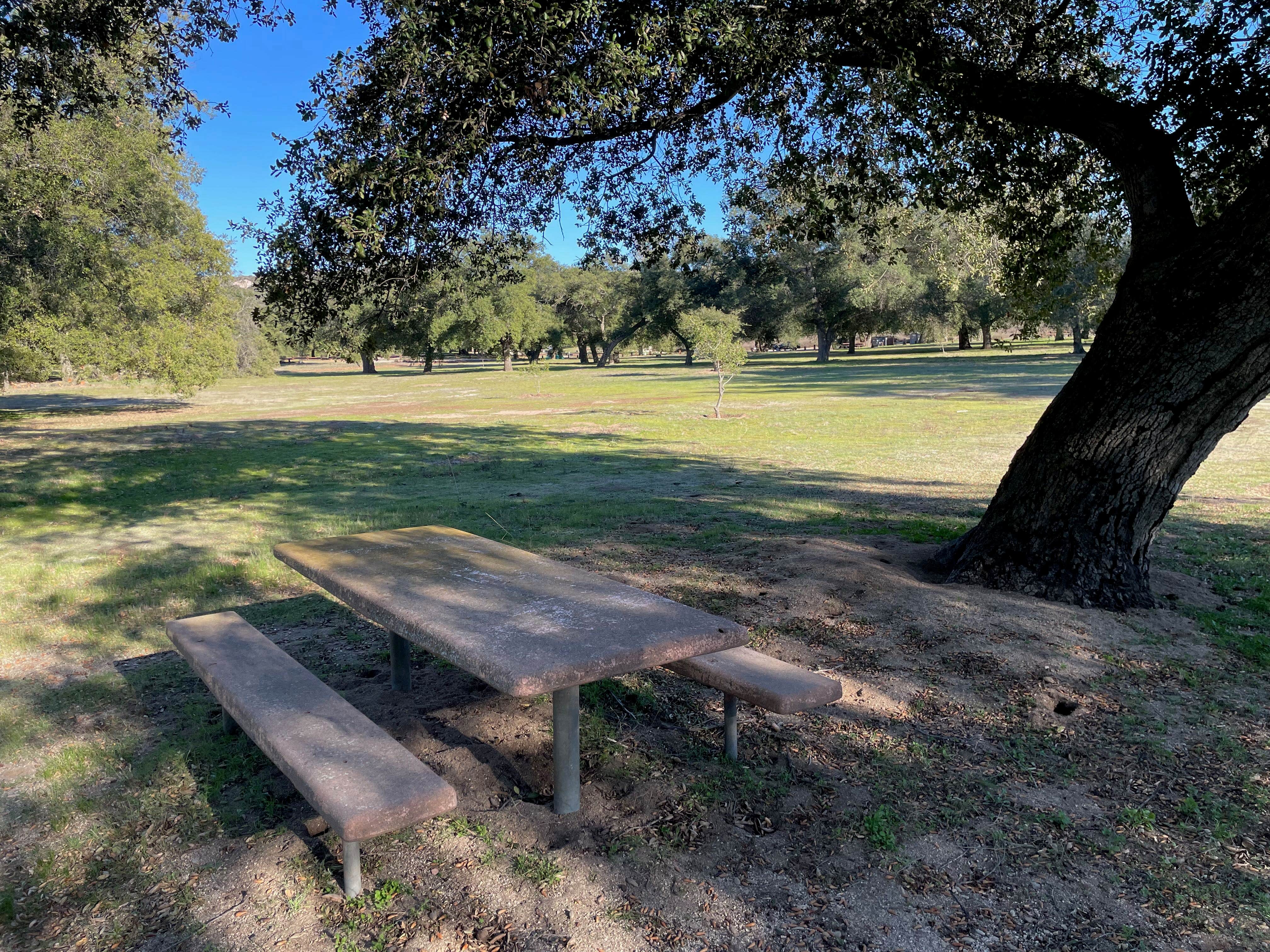 Camper submitted image from San Diego County Potrero Regional Park - 1