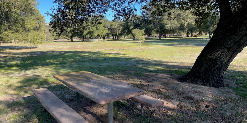 Camper submitted image from San Diego County Potrero Regional Park