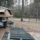 Review photo of Williams Landing Campground by Dawna J., February 21, 2022