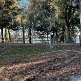 Review photo of Williams Landing Campground by Dawna J., February 21, 2022