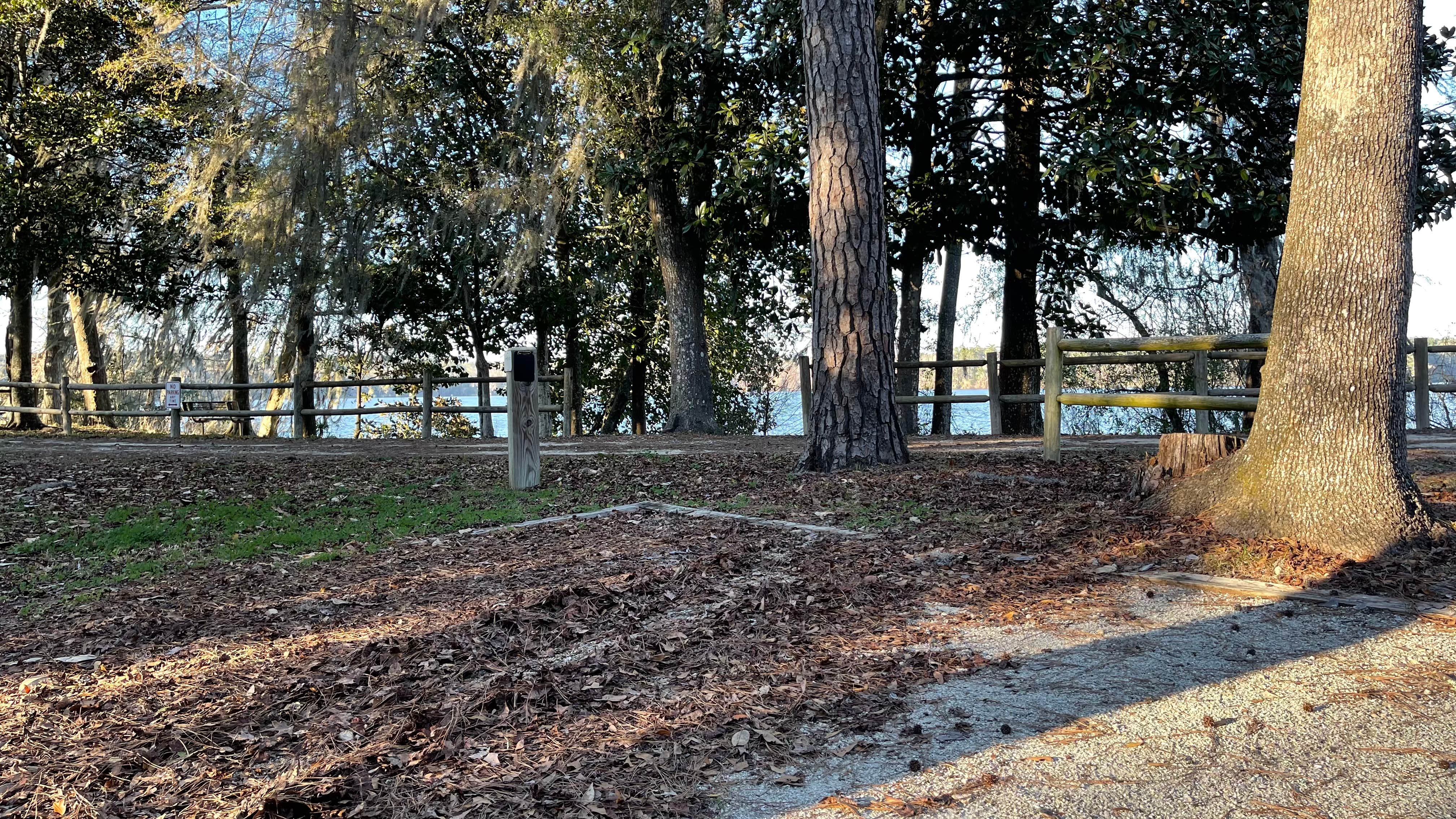 Camper submitted image from Williams Landing Campground - 4