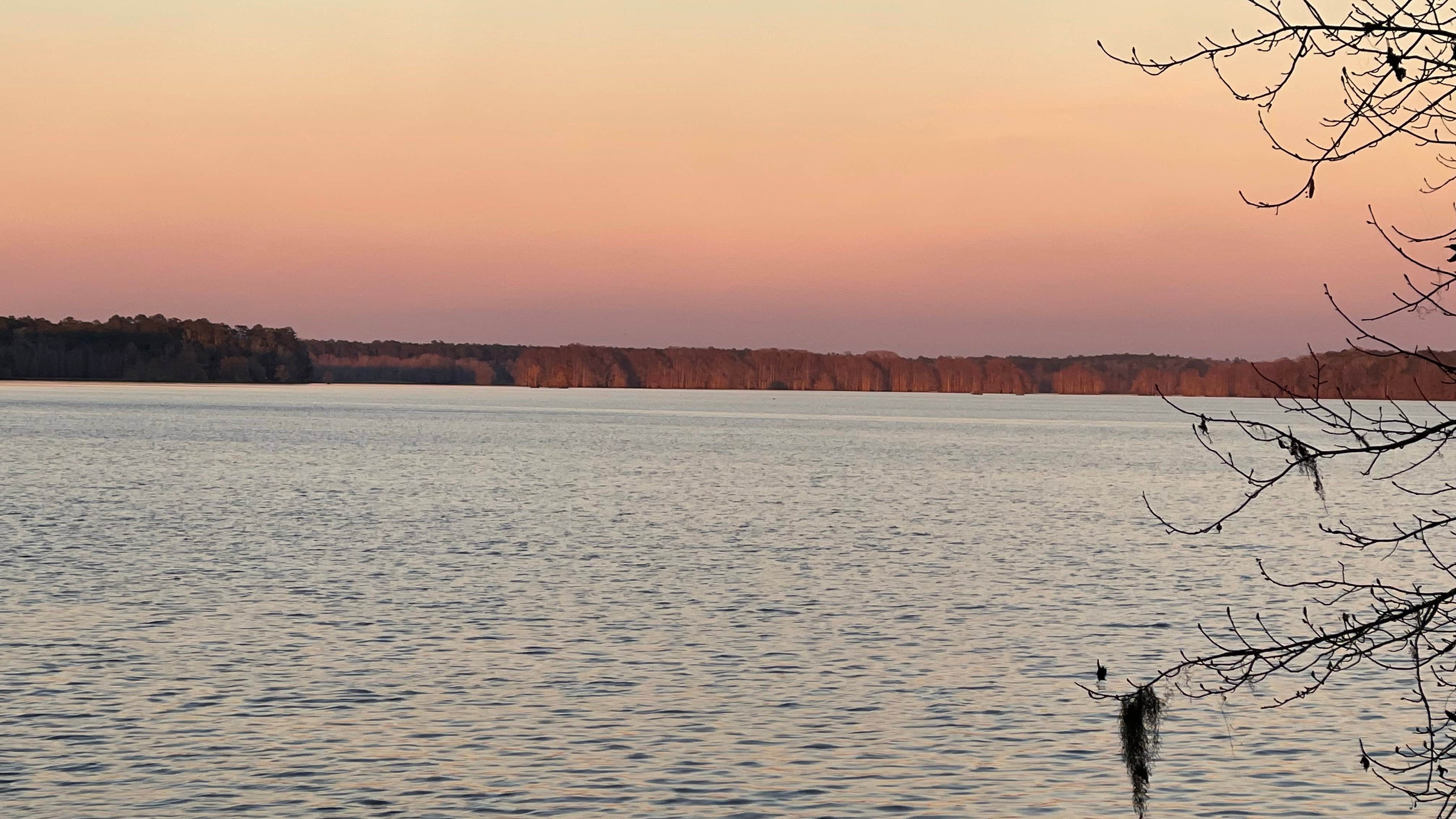 Camper-submitted photo at Williams Landing Campground near Tallahassee, FL