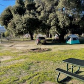 Review photo of San Diego County Lake Morena County Park by Steve S., February 21, 2022