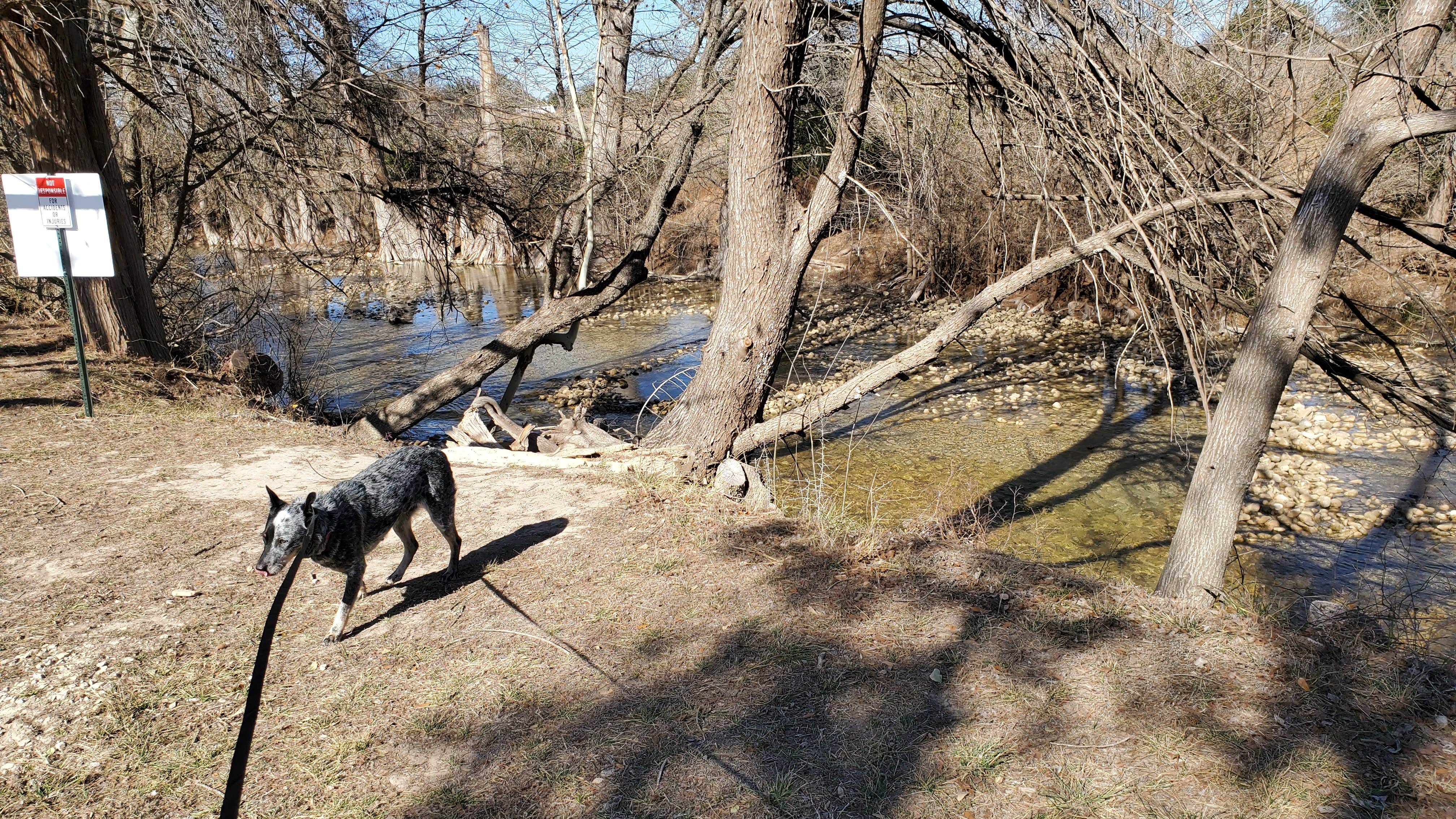 Denise V.'s photo of camping with pets at Bandera Crossing Riverfront RV Park near Castroville, TX