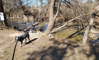 Denise V.'s photo of camping with pets at Bandera Crossing Riverfront RV Park near Castroville, TX