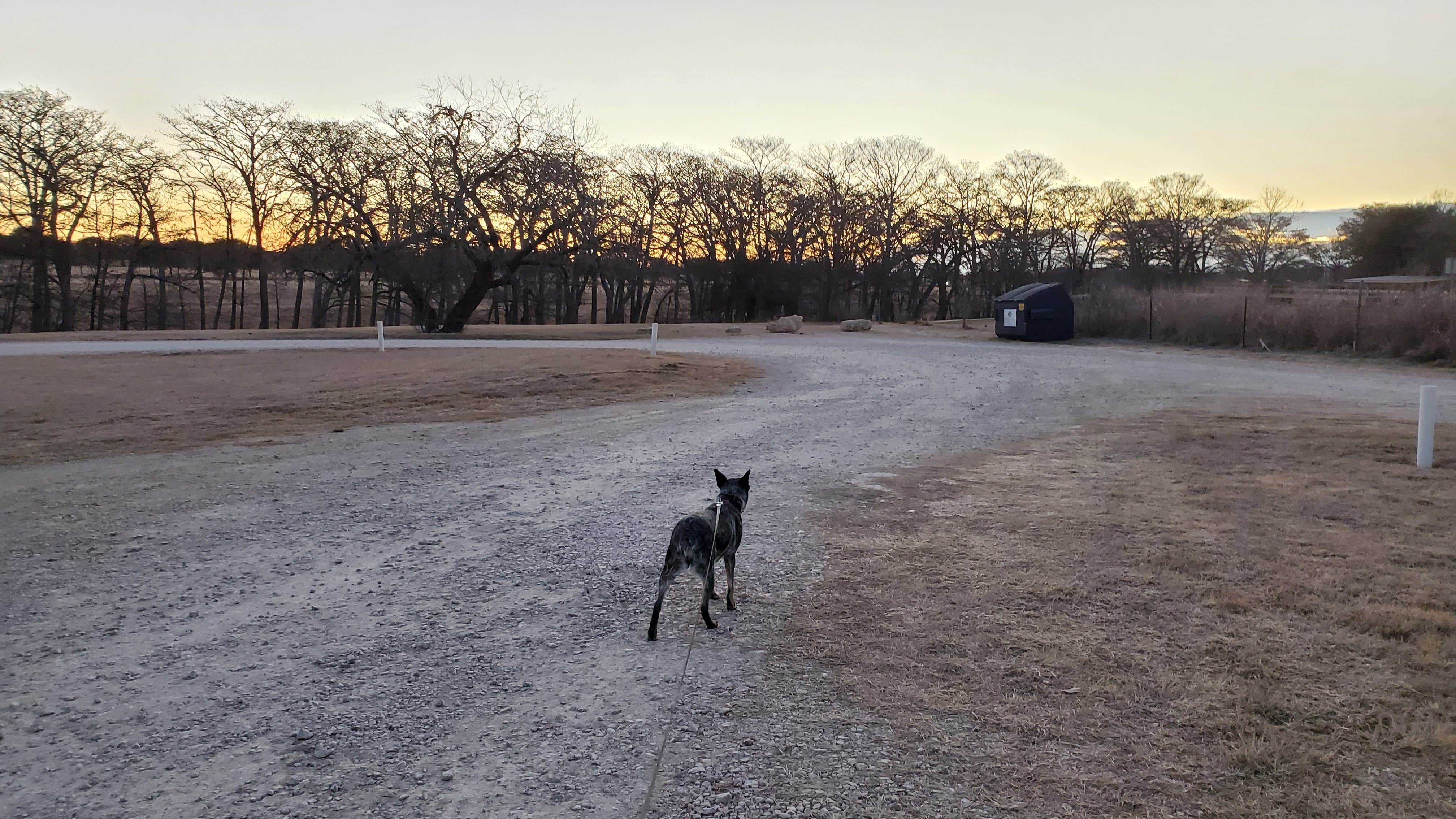 Denise V.'s photo of camping with pets at Bandera Crossing Riverfront RV Park near Vanderpool, TX