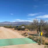 Review photo of Tonto National Forest Dispersed Camping at Lake Roosevelt by Monte W., February 21, 2022