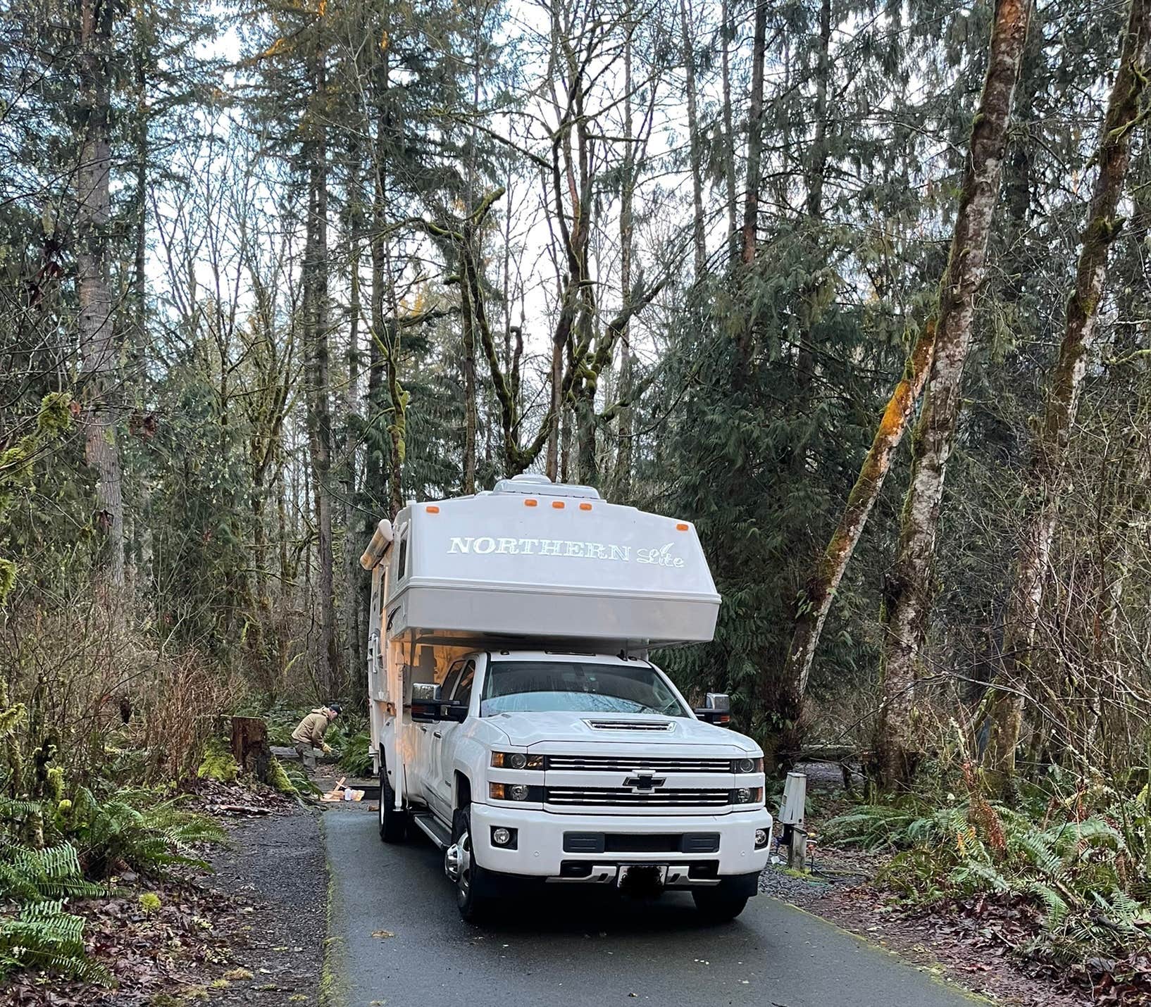 L & J L.'s photo of rv camping at Ike Kinswa State Park Campground near Mineral, WA