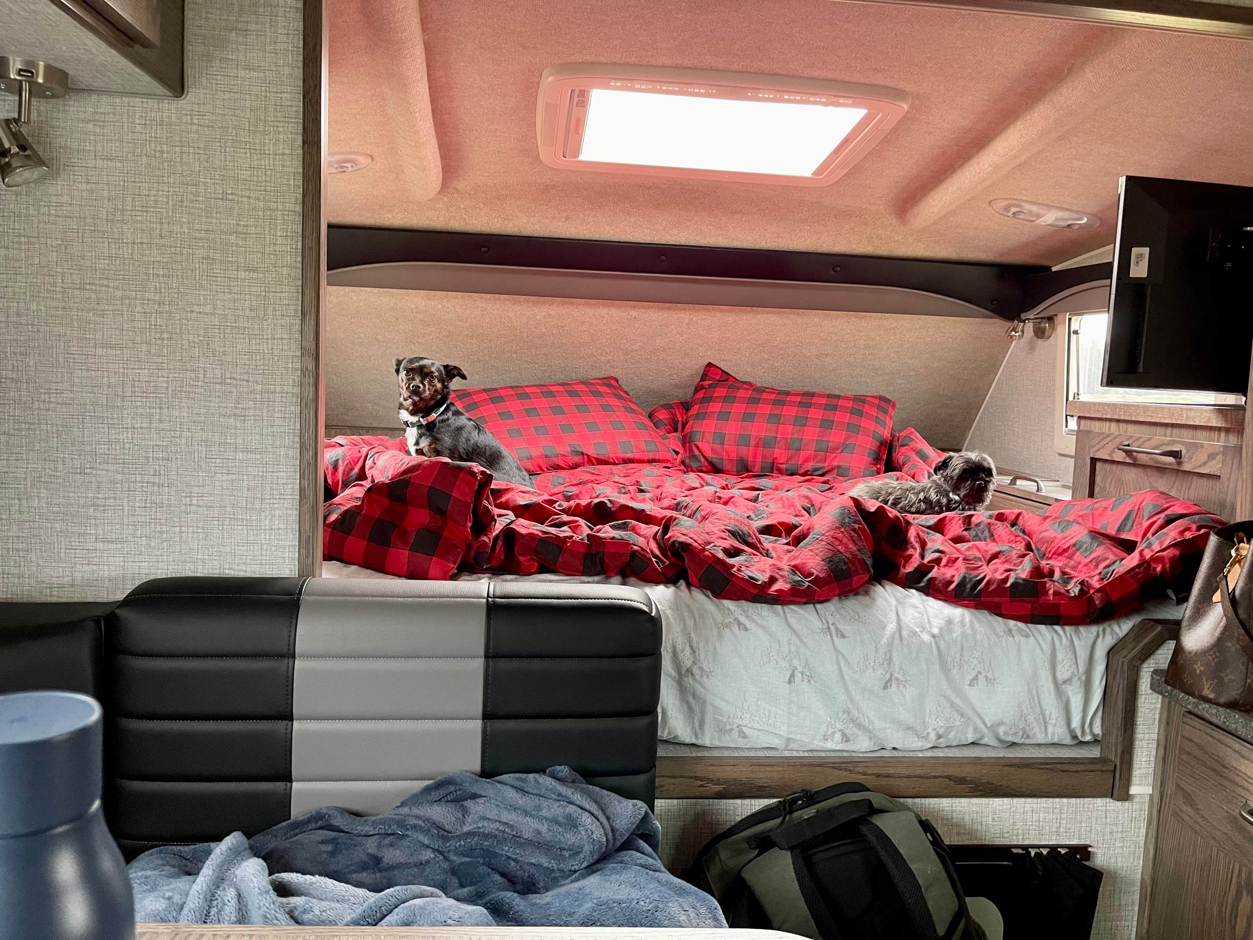 L & J L.'s photo of glamping accommodations at Ike Kinswa State Park Campground near Orting, WA