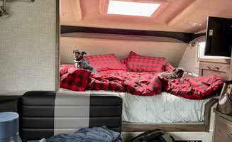 L & J L.'s photo of glamping accommodations at Ike Kinswa State Park Campground near Packwood, WA