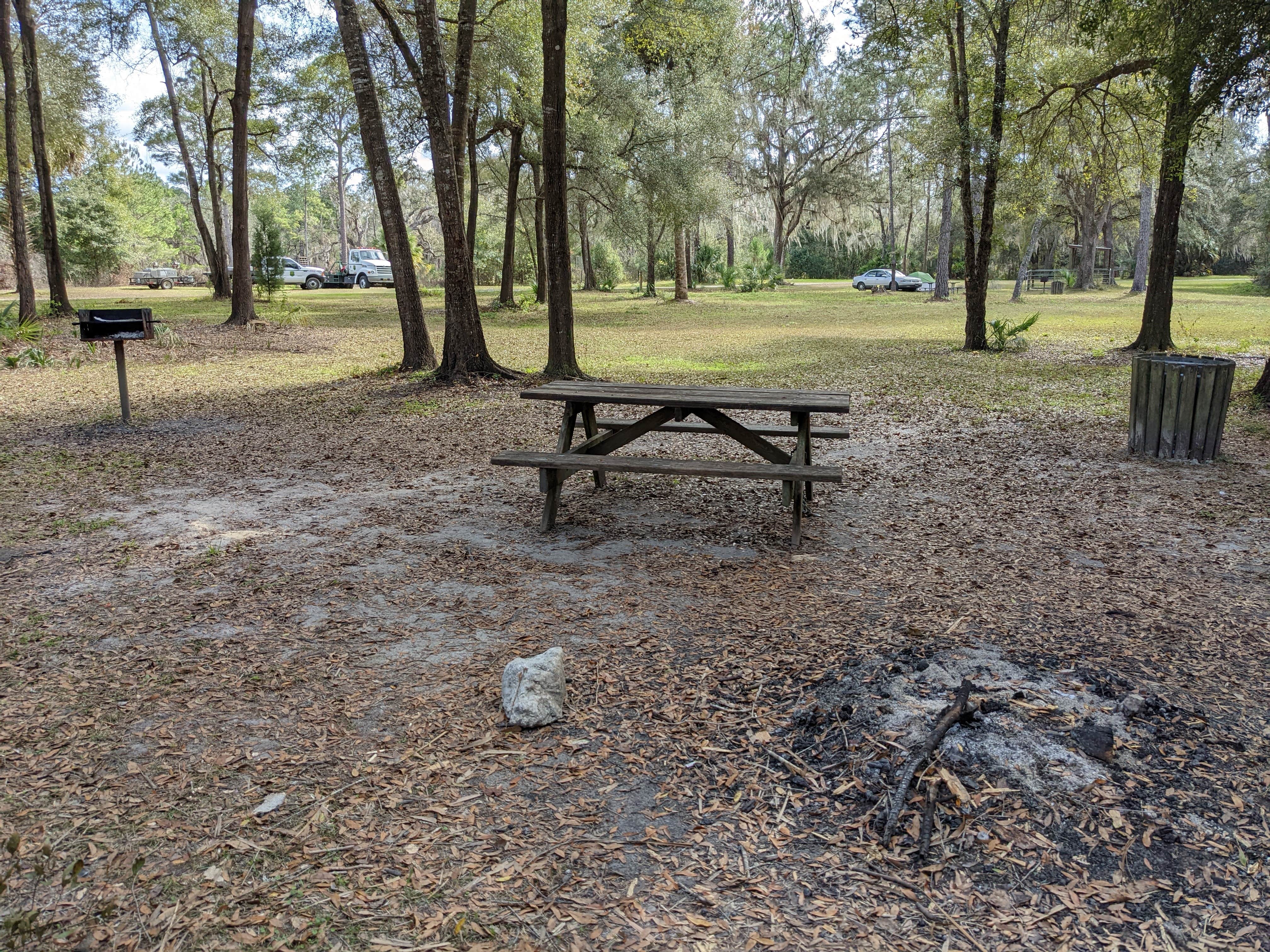 Camper submitted image from Bearhead Hammock Primitive Campsites - 4