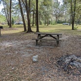 Review photo of Bearhead Hammock Primitive Campsites by Laura M., February 21, 2022