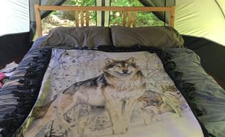 Denise D.'s photo of glamping accommodations at Camp Taylor Campground near Far Hills, NJ