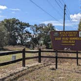 Review photo of Bearhead Hammock Primitive Campsites by Laura M., February 21, 2022