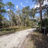 Review photo of Bearhead Hammock Primitive Campsites by Laura M., February 21, 2022