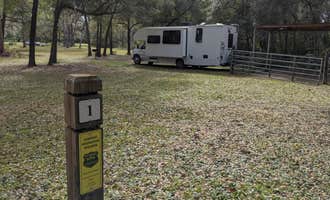 Camping near Sandy Oaks RV Resort: Bearhead Hammock Primitive Campsites, Holder, Florida