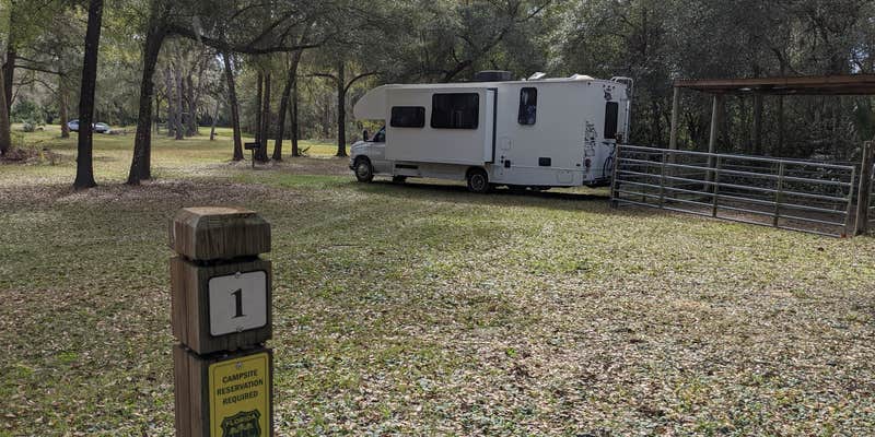 Camper submitted image from Bearhead Hammock Primitive Campsites — Withlacoochee State Forest
