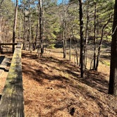 Review photo of Mckinney Campground by Diana H., February 21, 2022