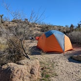 Review photo of Jumbo Rocks Campground — Joshua Tree National Park by Mary C., February 21, 2022