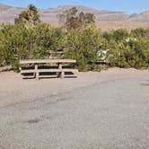 Review photo of Echo Bay Upper Campground — Lake Mead National Recreation Area by Greg L., February 22, 2022