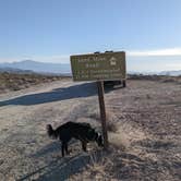 Review photo of Sand Mine Road #110 Dispersed Camping by Greg L., February 22, 2022
