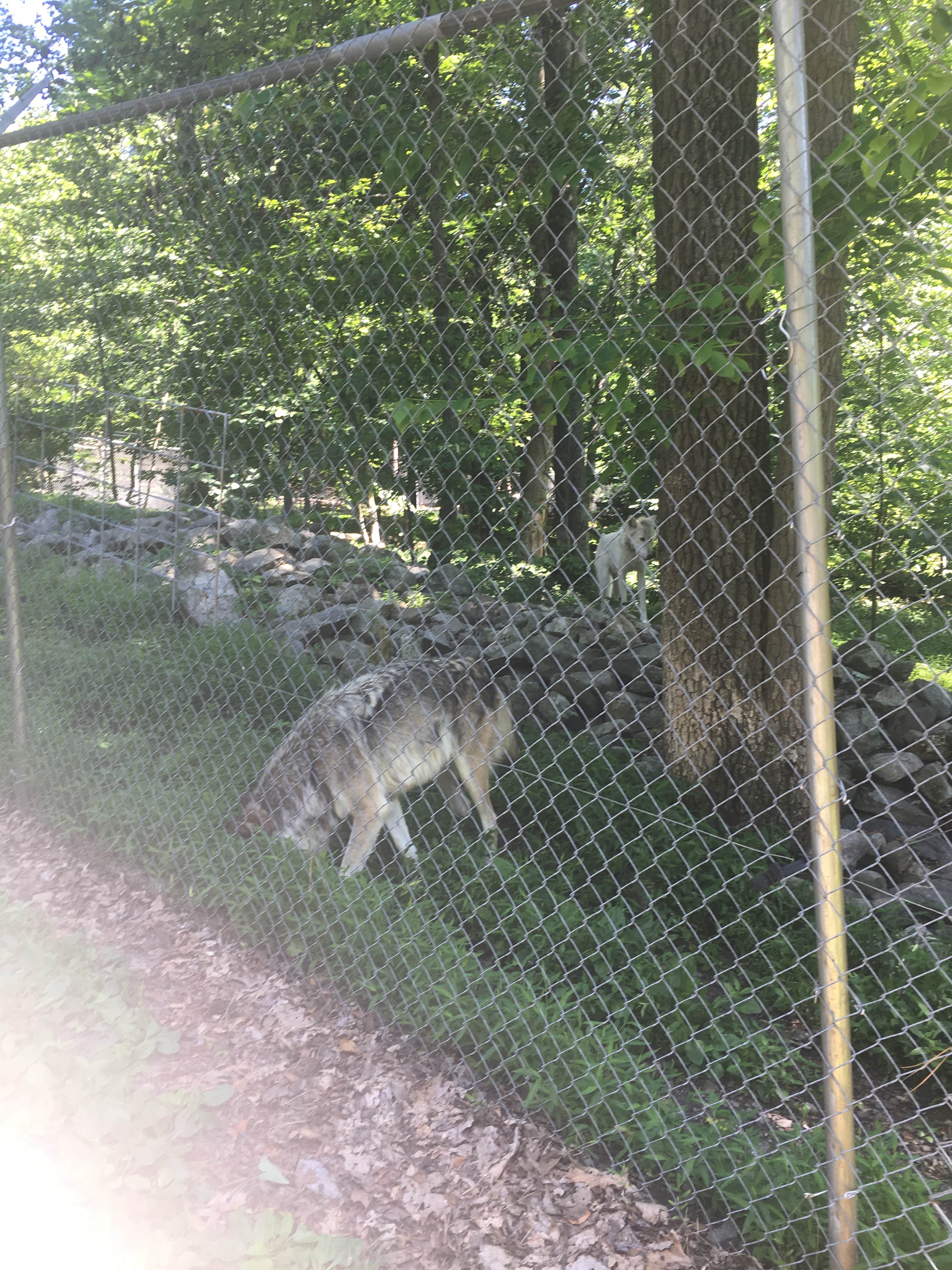 Camper-submitted photo at Camp Taylor Campground near Tobyhanna, PA