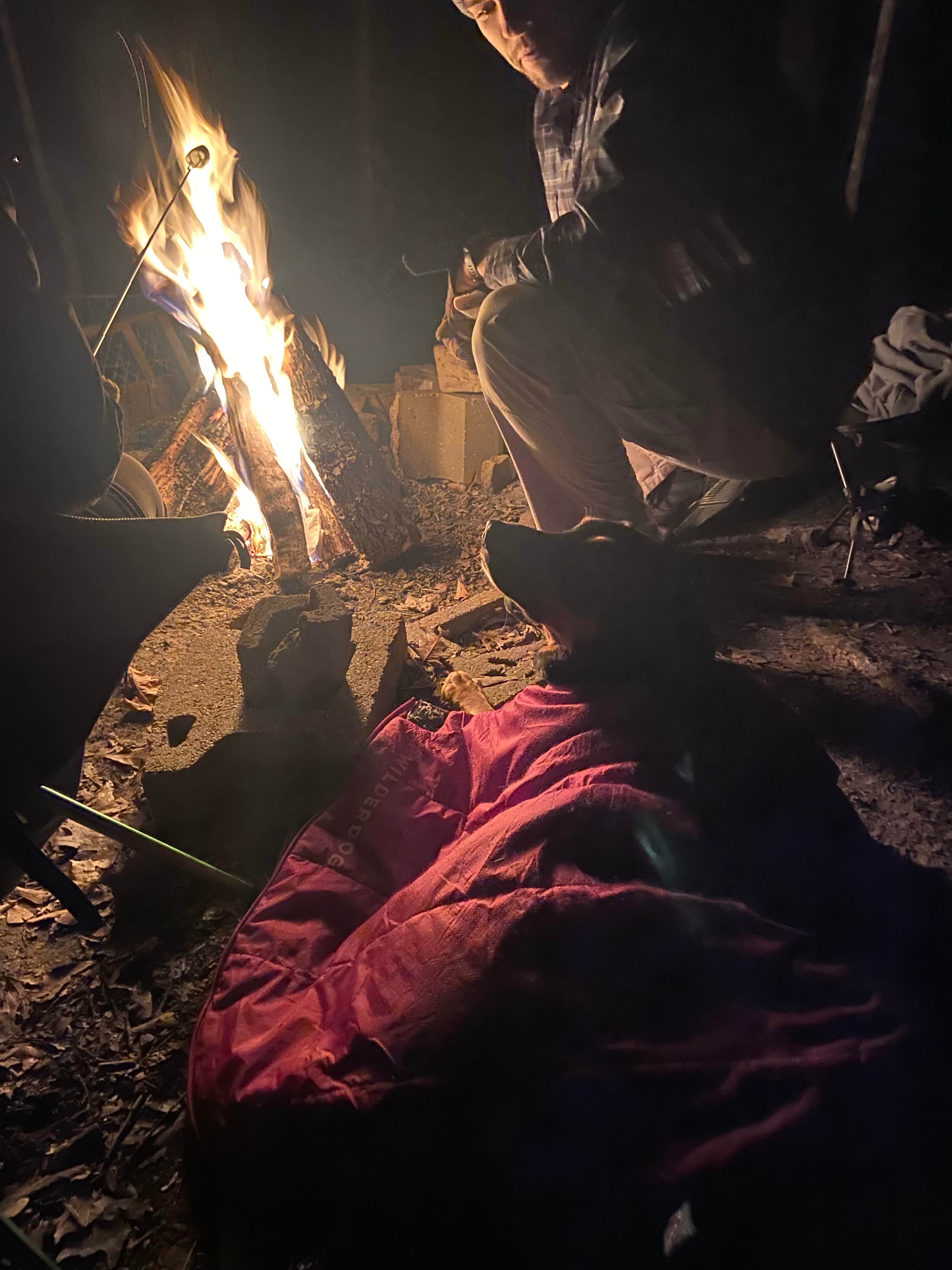 Camper-submitted photo at Tunica Hills Campground near St. Francisville, LA