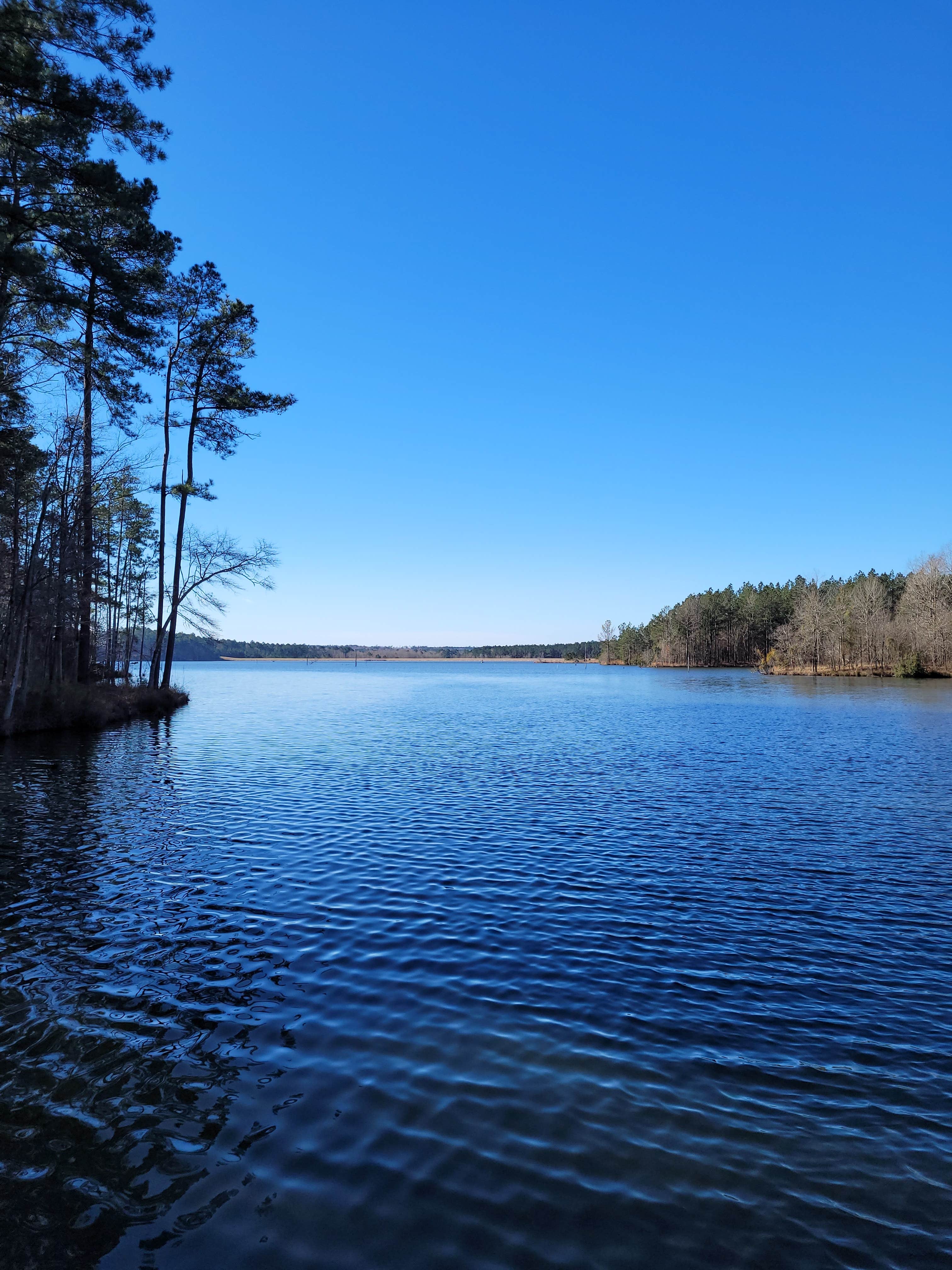 Camper-submitted photo at Calling Panther Lake near Wesson, MS