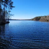 Review photo of Calling Panther Lake by Curt P., February 20, 2022
