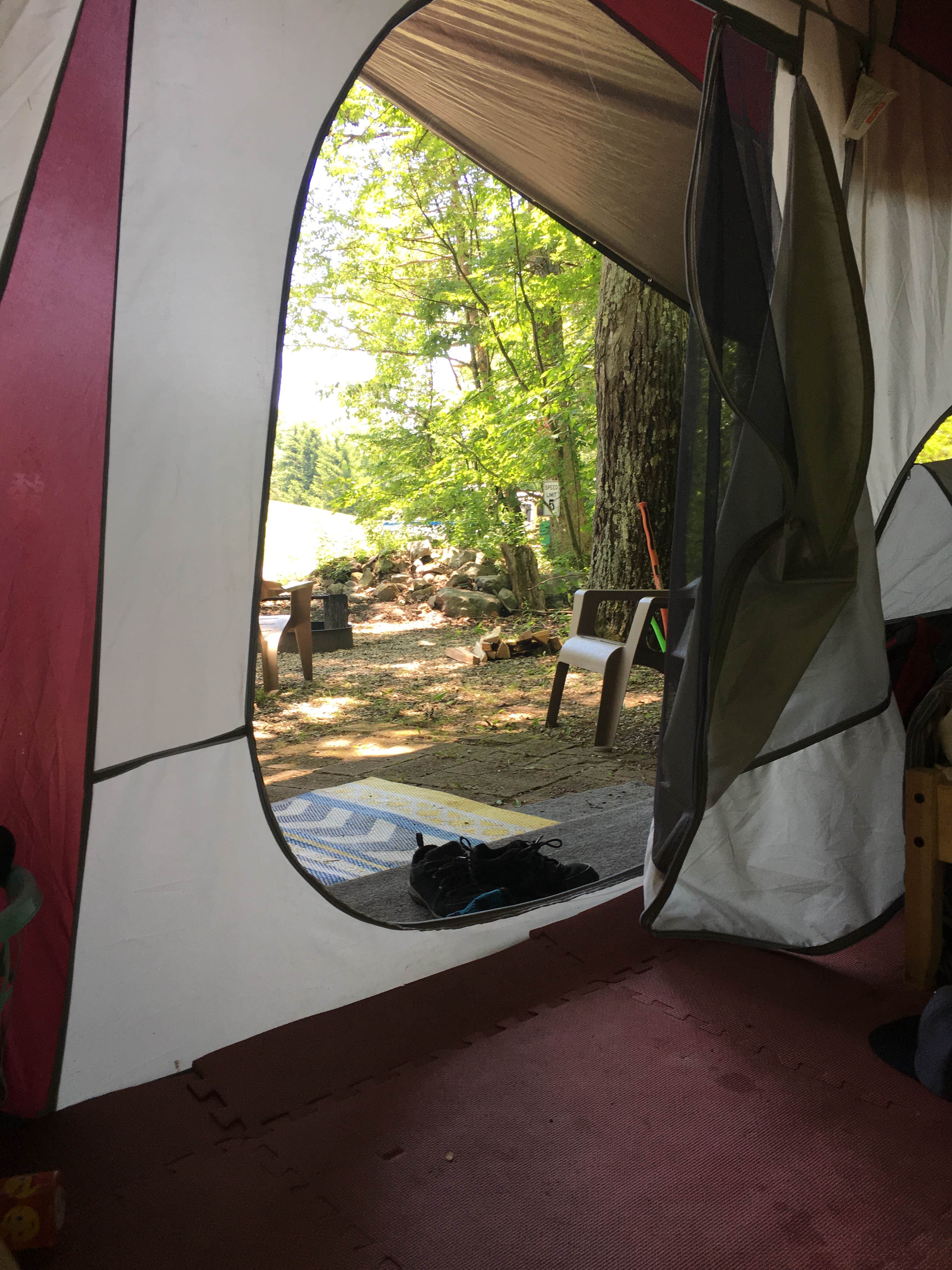 Camper-submitted photo at Camp Taylor Campground near Tobyhanna, PA